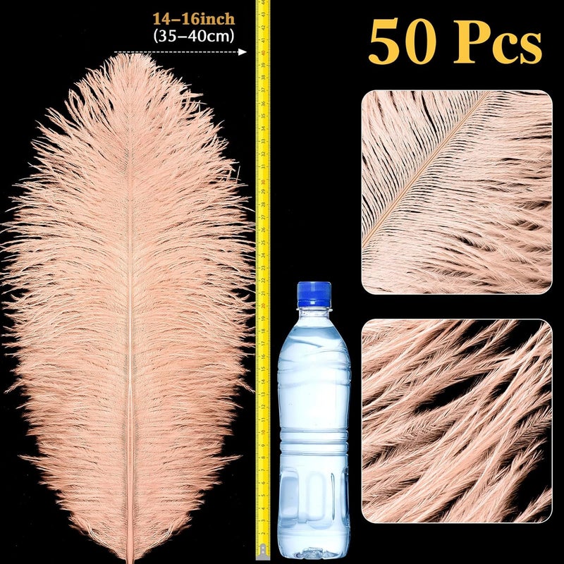 Retrowavy Store 50 Pcs 14-16 Inches Large Natural Ostrich Feathers Bulk for Centerpieces for Wedding Party Centerpieces Home Decoration Flower Arrangement(Champagne) - Image 2